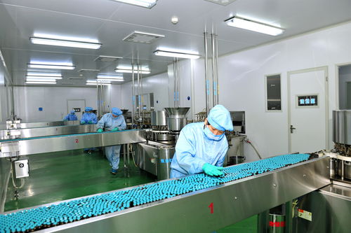 图片新闻 淅川县工业园区的河南福森药业有限公司加紧生产中药制剂